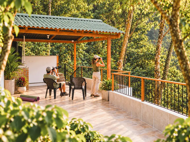 Open-air deck among the treetops with two people looking out