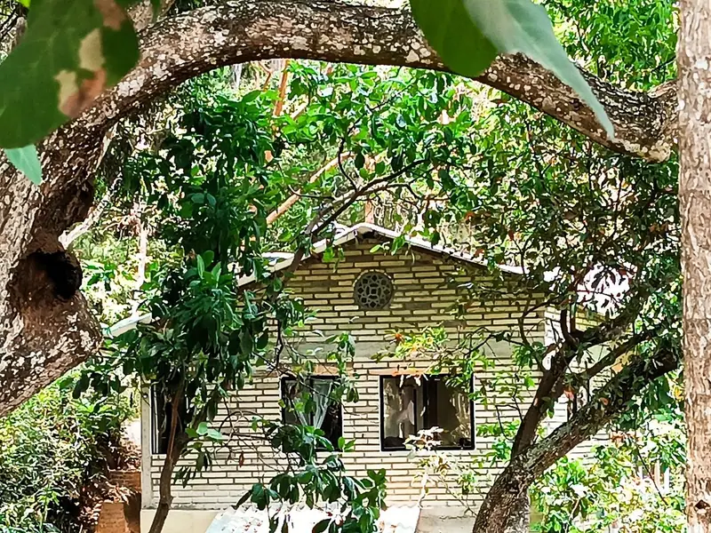 Brick facade of the house framed by trees