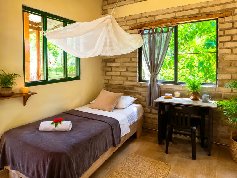 Bed with a mosquito net, a desk and windows onto the greenery