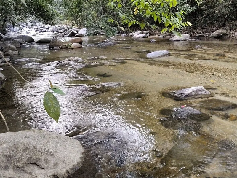 Clear, shallow water flowing over smooth stones in the Gaira River